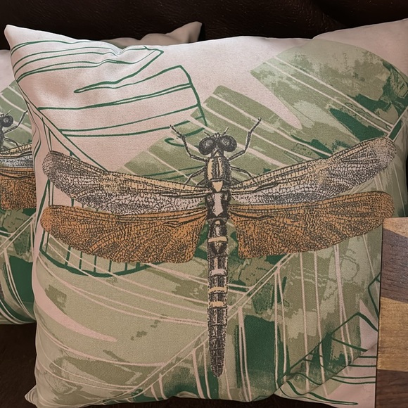 EUC Dragonfly Pillows - Picture 2 of 2